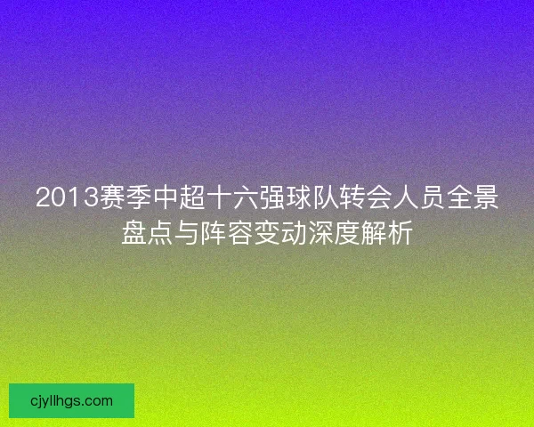 2013赛季中超十六强球队转会人员全景盘点与阵容变动深度解析