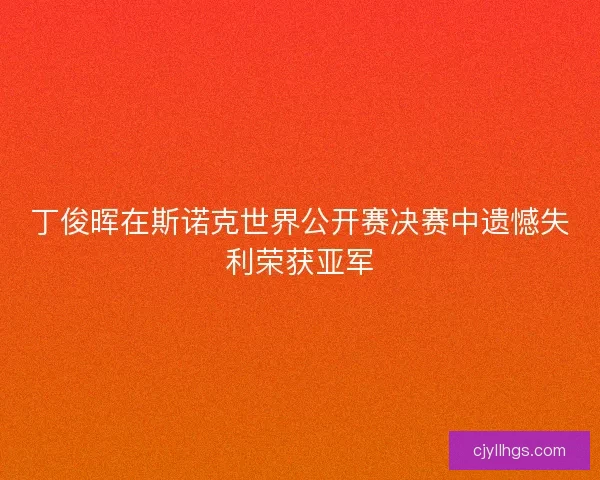 丁俊晖在斯诺克世界公开赛决赛中遗憾失利荣获亚军