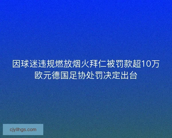 因球迷违规燃放烟火拜仁被罚款超10万欧元德国足协处罚决定出台 因球迷违规燃放烟火拜仁被罚款超10万欧元德国足协处罚决定出台