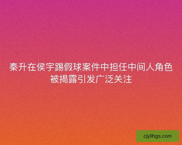 秦升在侯宇踢假球案件中担任中间人角色被揭露引发广泛关注