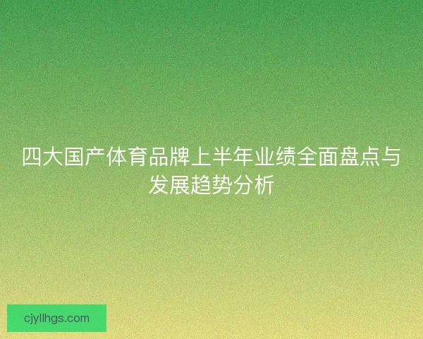 四大国产体育品牌上半年业绩全面盘点与发展趋势分析
