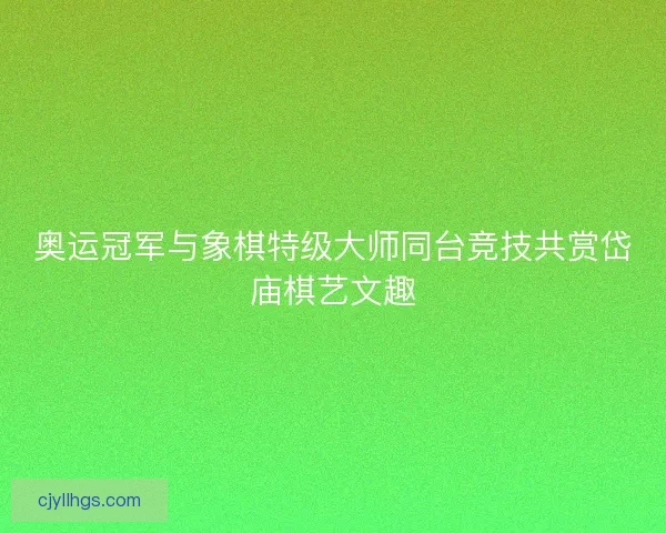 奥运冠军与象棋特级大师同台竞技共赏岱庙棋艺文趣