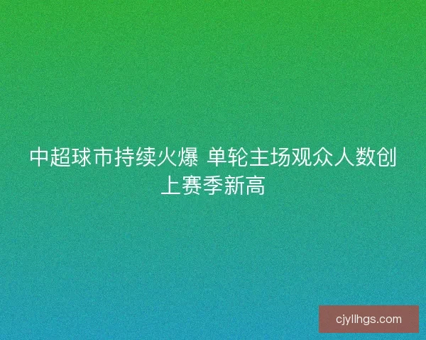 中超球市持续火爆 单轮主场观众人数创上赛季新高