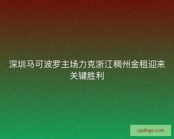 深圳马可波罗主场力克浙江稠州金租迎来关键胜利